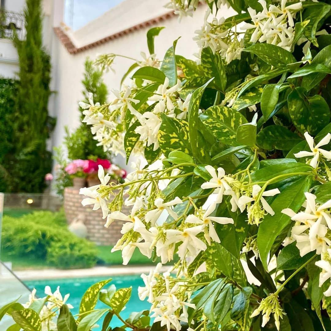 El Patio De Los Jazmines Boutique-House Консуэгра Экстерьер фото